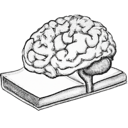 Memorization